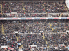 Top draw Palace fans.gif