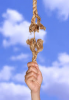 snu.png