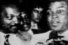 elvis_ali_1345146368_300x200.jpg