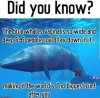 FB_IMG_1620457527331.jpg