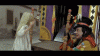 BiodegradableSillyHalcyon-size_restricted.gif