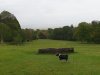 IMG-20210523-WA0004.jpg