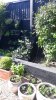 Screenshot_20210531-173449_Gallery.jpg