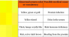 upload_2021-6-3_15-47-7.png