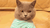 tenor (10).gif
