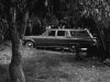 1803943ccfbb76876416a598f2647f80_w200.gif