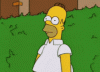 giphy (9).gif