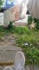 20210608_185647.jpg
