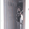 tenor (4).gif