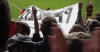 Pardew out Liverpool away 11th May 75%.gif
