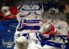 qpr.jpg