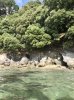 79C63036-EC14-419C-BCC9-A591F900DB3C.jpeg
