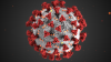 Coronavirus_3D_illustration_by_CDC_1600x900 (1).png