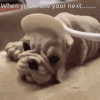 shocked-funny.gif