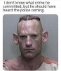 54C8BD0B-4F87-4B75-9D67-E840259FE978.jpeg