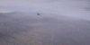 84880092.gif