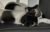 D2C48548-DBD0-418E-BDE7-C0A1292F18F9.jpeg