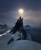 wolf.jpg.9df44ed0ca948dc7beb2e1e3773cd1ac (1).jpg