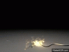 upload_2021-10-9_19-53-44.gif