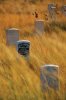 Little-Bighorn-Battlefield-National-Monument-Montana.jpg