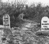 dazl_research_tombstones.jpg