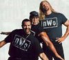 nwo-903640.jpg