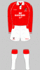 bristol_city_1993-1994.gif