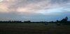 Hay.jpg