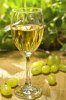 depositphotos_10933814-White-wine-glass-on-the-table.jpg