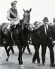 'Nijinsky's best ever display.' That's how Lester described Nijinsky's win in the Â£31,000 King G.jp