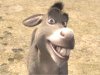 Donkey.gif