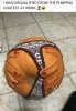 5072B266-25E6-48E8-9DDC-BFF12AC3D6E8.jpeg