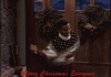 upload_2021-12-2_18-10-57.gif