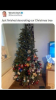 upload_2021-12-8_21-29-25.png