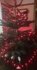 20211218_080329.jpg