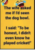 upload_2021-12-28_10-26-9.png