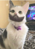 20211229_135516.png