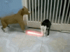 115d4072-04aa-4dc1-b4e5-9527fce707ec.gif
