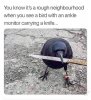FB_IMG_1641460426961.jpg