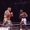 andy.gif