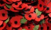 Poppies-007.jpg