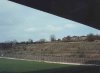 East Terrace Overgrown.JPG