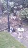 IMAG0482.jpg