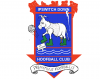 IPSWICH BADGE3.png