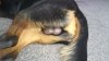 upload_2022-1-21_13-51-22.jpeg