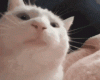 7593C732-3F90-45D3-90A6-1D7569068293.gif