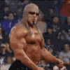 upload_2022-1-26_20-20-6.gif