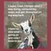 FB_IMG_1643966664060.jpg
