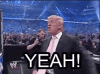 trump-yeah.gif