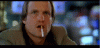 upload_2022-1-9_16-11-46.gif